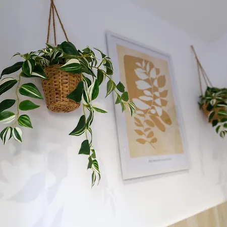 Urban Nest Apartment *