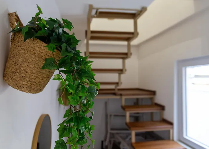 Apartment Urban Nest Nis