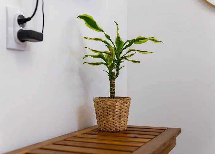 Apartment Urban Nest *